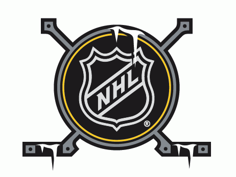 NHL Winter Classic 2011 Alternate Logo iron on heat transfer